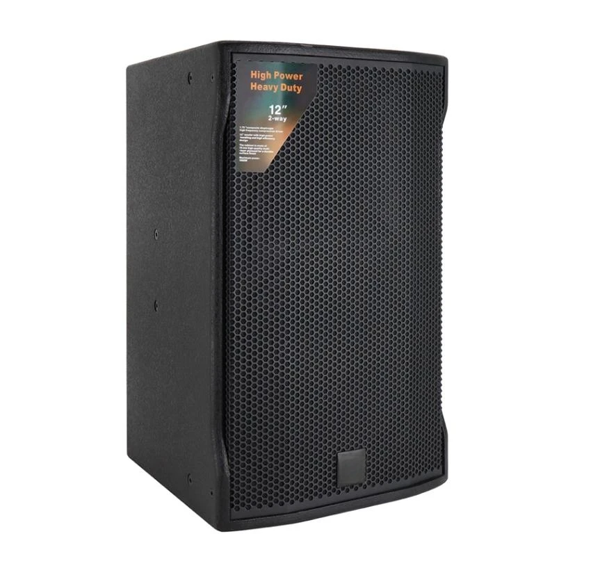 

HIgh quality Professional Single 10 inch pa speakers 12 inch karaoke room bar KTV professional speaker