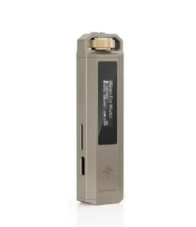 FiiO NANO SnowSky ECHO ポータブルHiFi音楽プレーヤー