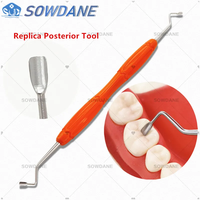 Dental Aesthetic Restoration Tools Replica Posterior for Simplifying Occlusal Modeling of Posterior Silicon Dental Modeling tool