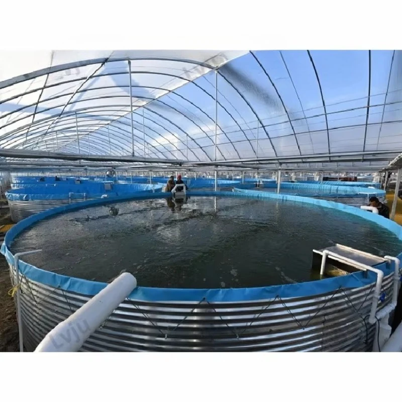 

8000 Liter Diameter 3m X Height 1.15m Fisheries Aquaculture Farm Shrimp Fishery Equipment Tank