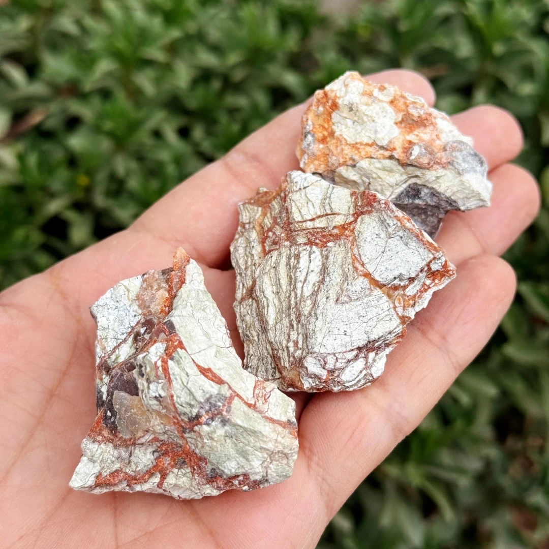 Natural Money Agate, Rough Eye Agate Mineral Specimen, Potted Plants, Aquarium Landscaping, Home Decor And Office Decoration,