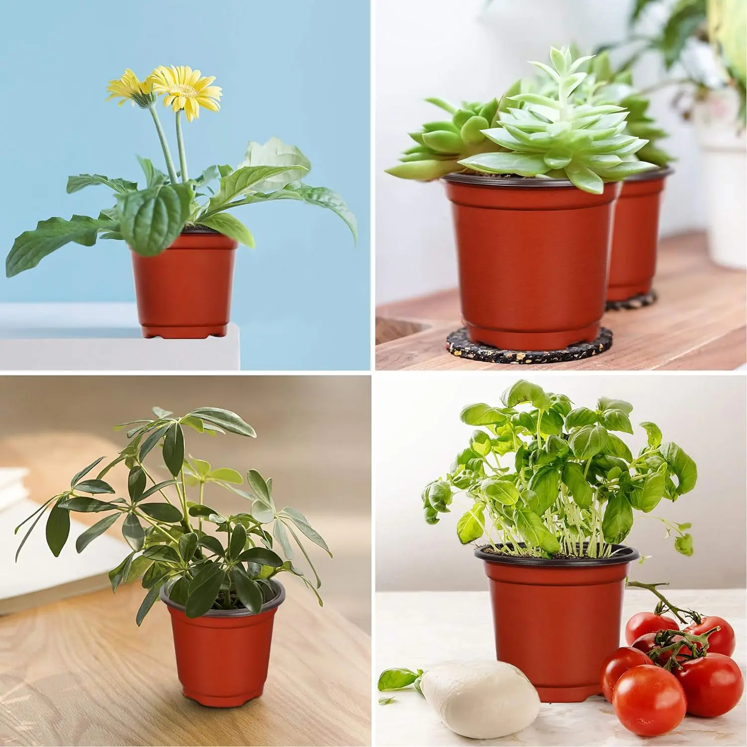 Plastic Plant Nursery Pot/Pots， Seedlings Flower Plant Container (Red) Seed Starting Pots Indoor Outdoor（50Pcs）