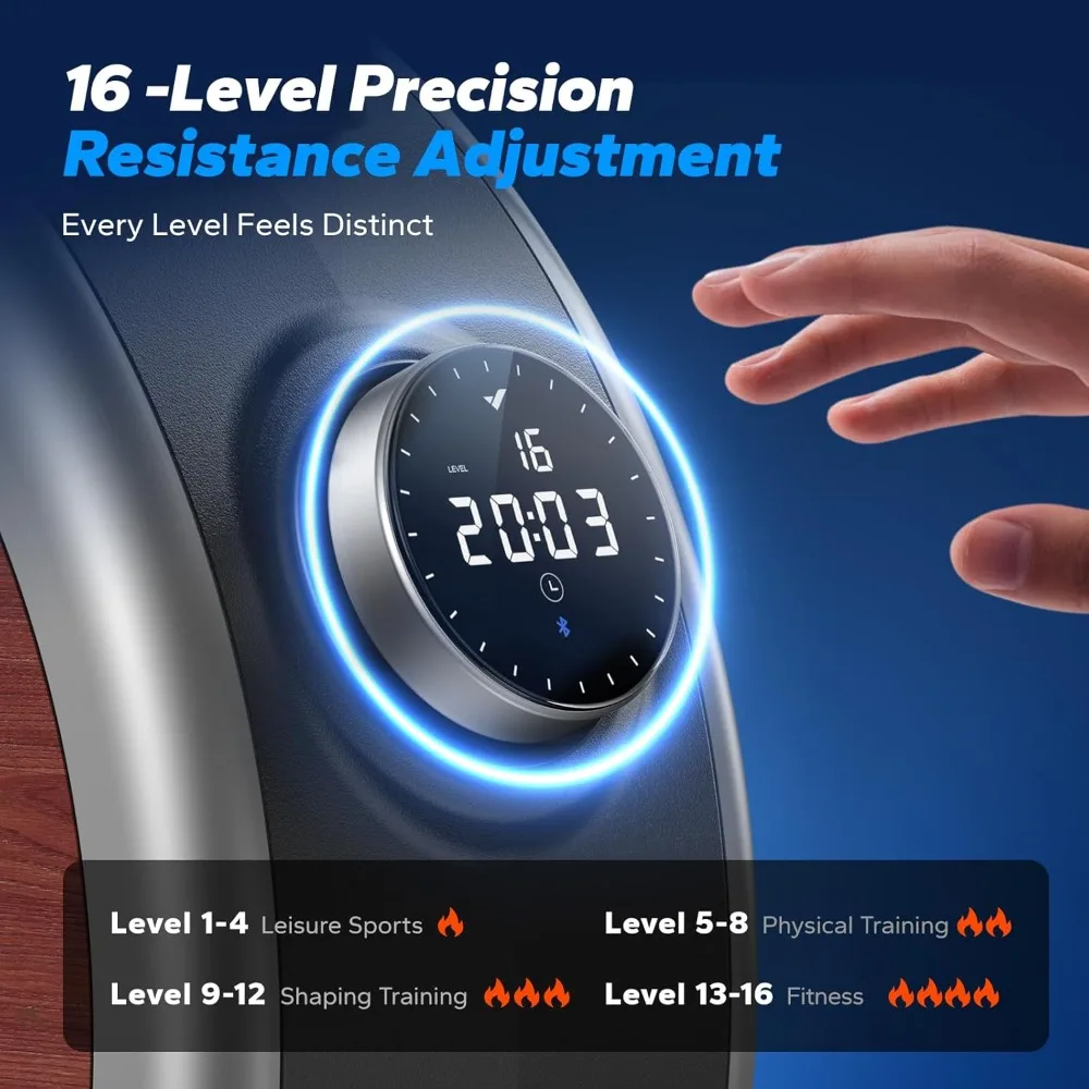Roeimachines voor thuis, magnetische roeimachine met 16 niveaus, roeimachine met stille weerstand, dubbele schuifrail met max