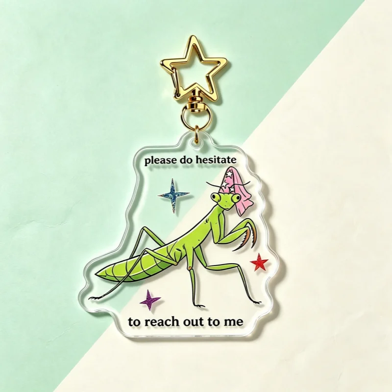 Please Do Hesitate To Reach Out To Me Mantis Acrylic Keychain Funny Sarcastic Meme Bag Charm Friend Creative Gift