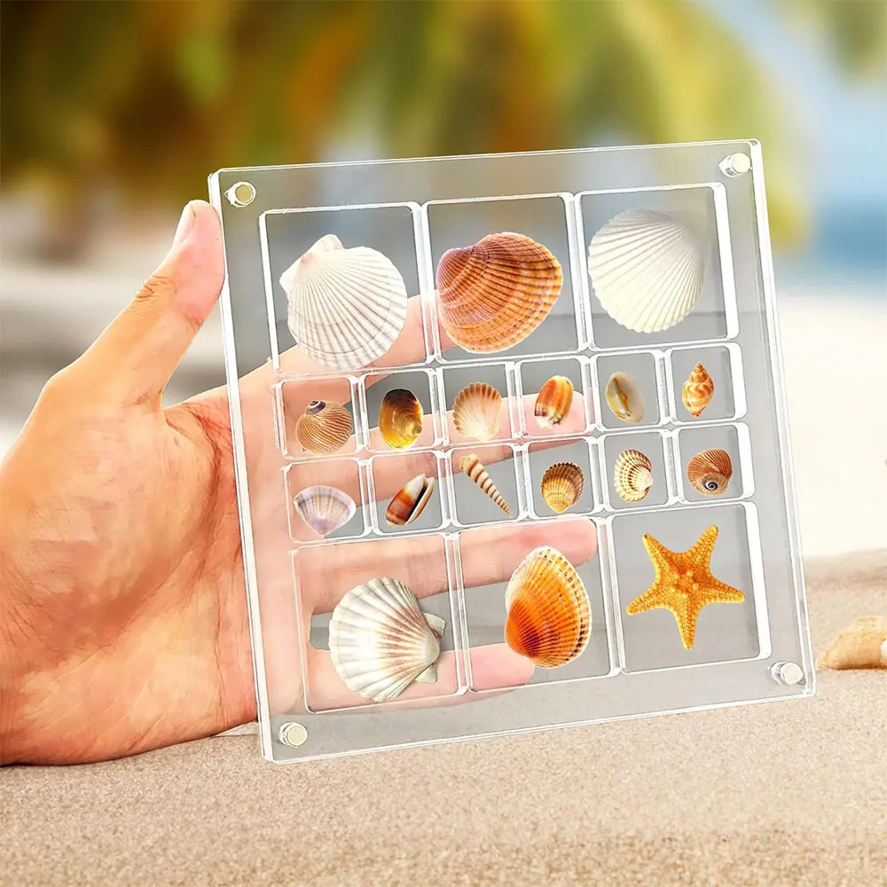 18 Grids Seashell Display Box Acrylic Magnetic Seashell Display Case Organizer Box Stackable Small Craft Compartment Boxd