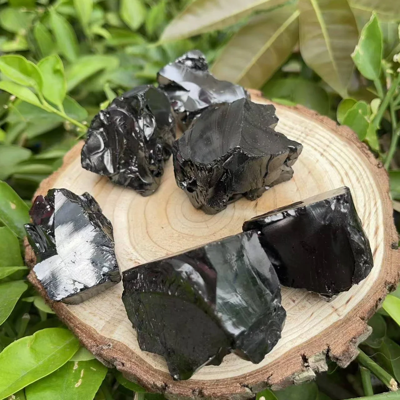 Shungite Stone / Elite Noble Crystal / Elite EMF Shungite / Raw