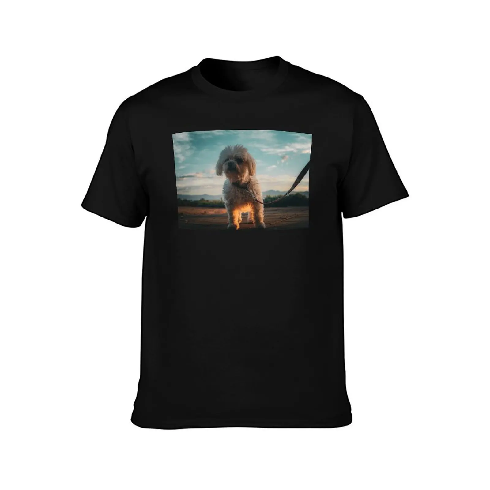 Sarah T-Shirt Lightweight Gym Training T-Shirt