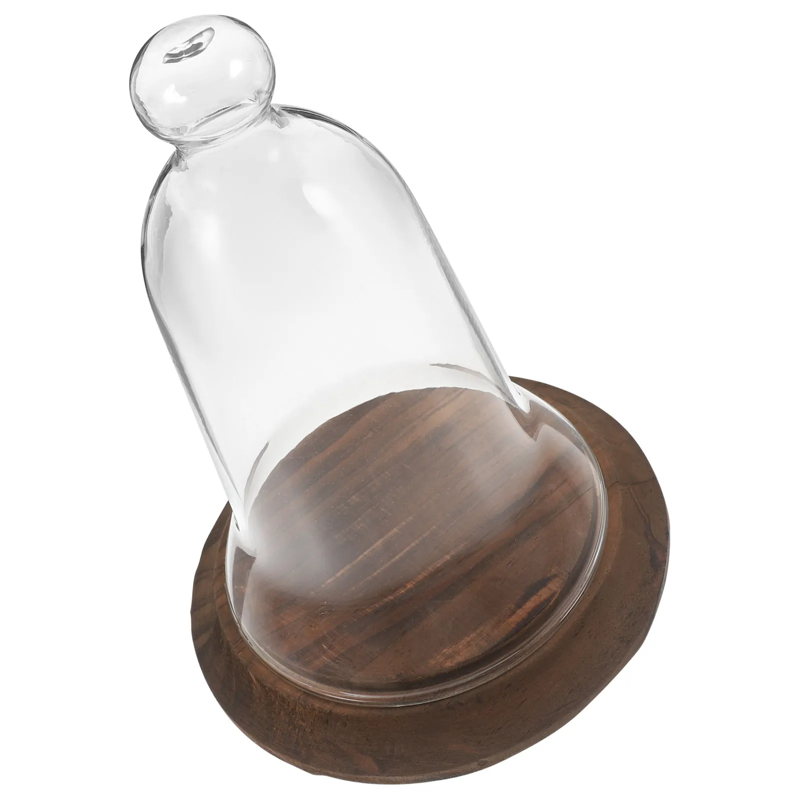 High Borosilicate Glass Dome Display Case with Solid Wooden Base for Preserved Flowers Dried Succulents Terrariums Fairy Lights
