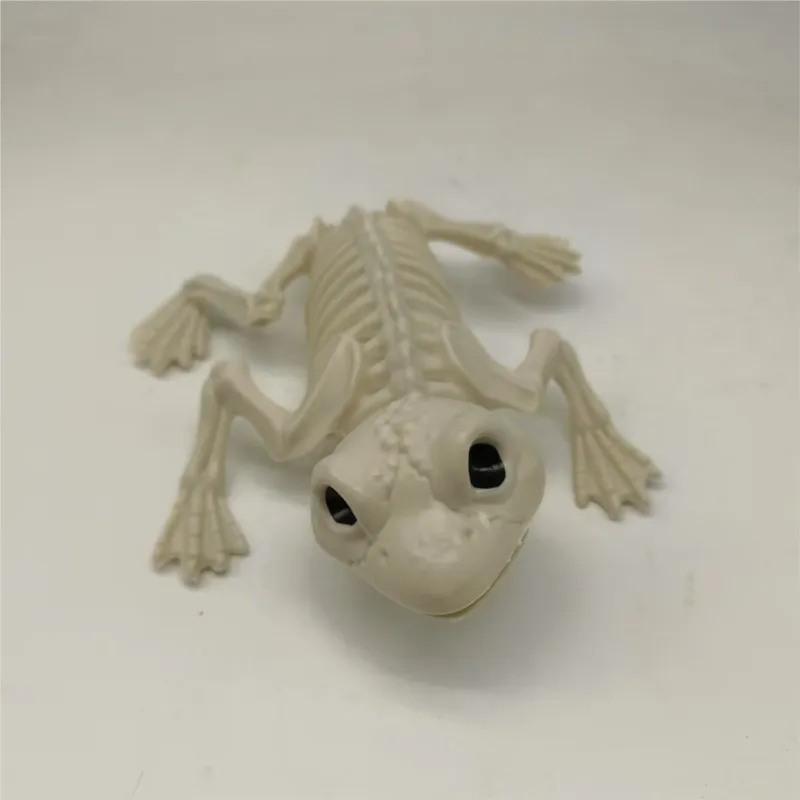 جديد تجهيزات حفلة الهالوين الضفدع الهيكل العظمي الدعائم زينة محاكاة ساخرة الضفدع الهيكل العظمي نماذج للحيوانات اكسسوارات سطح المكتب الحلي