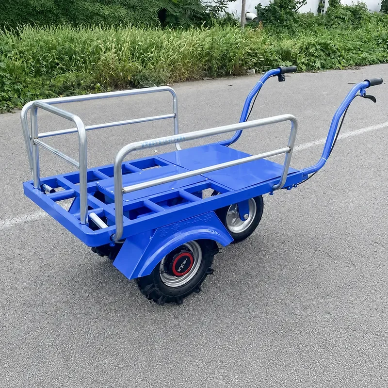 Electric Three Wheeled Agricultural Trolley Household Two Wheel Truck Orchard Climbing Transport Cart