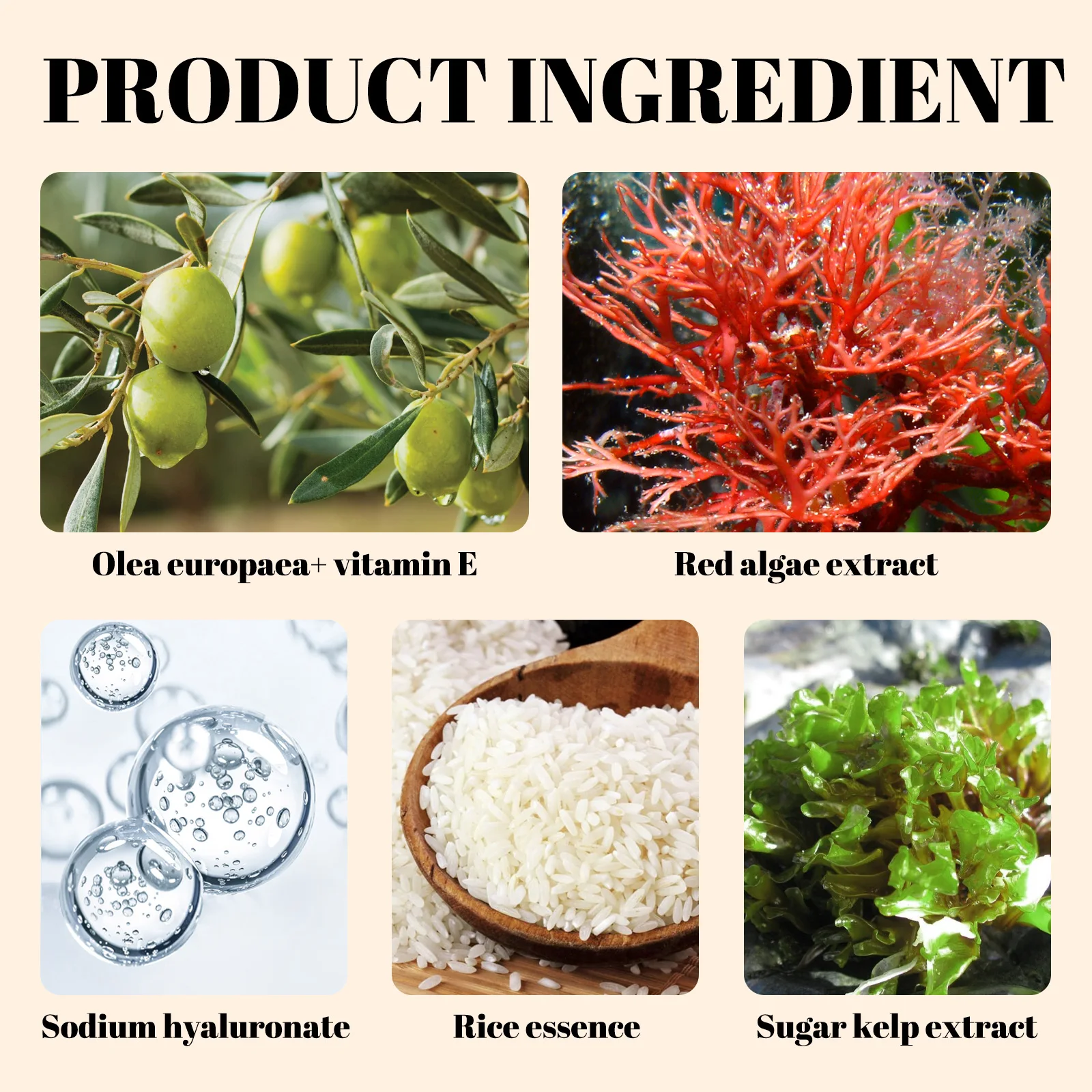 GROEL ライトスペクトラム補正メイクアップベース - カラーミミッキングテクノロジー搭載の保湿日焼け止めコンシーラーファンデーション、30g