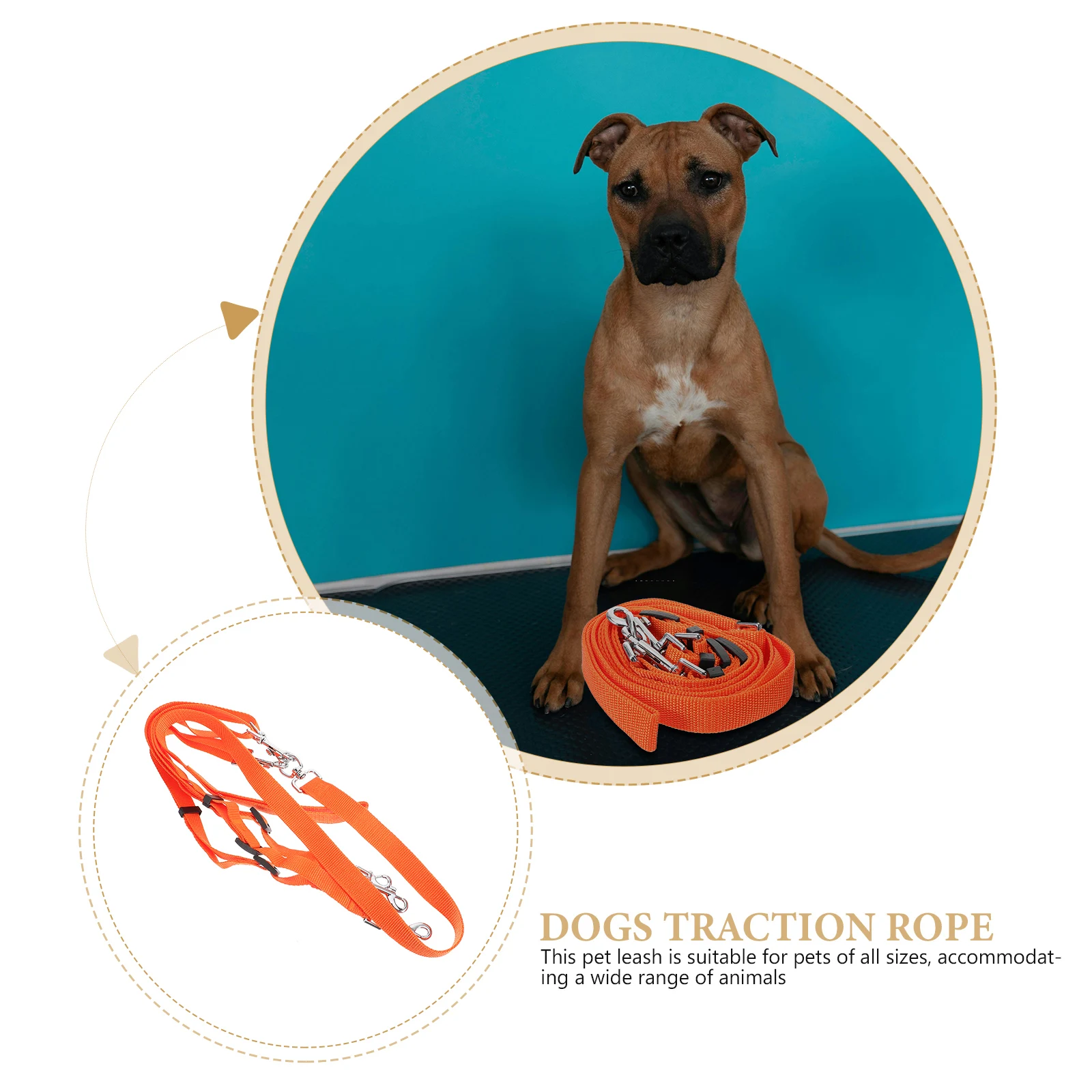 

1 Pack 3 Leash Removable Dog Walking Traction Rope Durable Pp Material Lightweight Easy Carry Strong Load Universal Fit