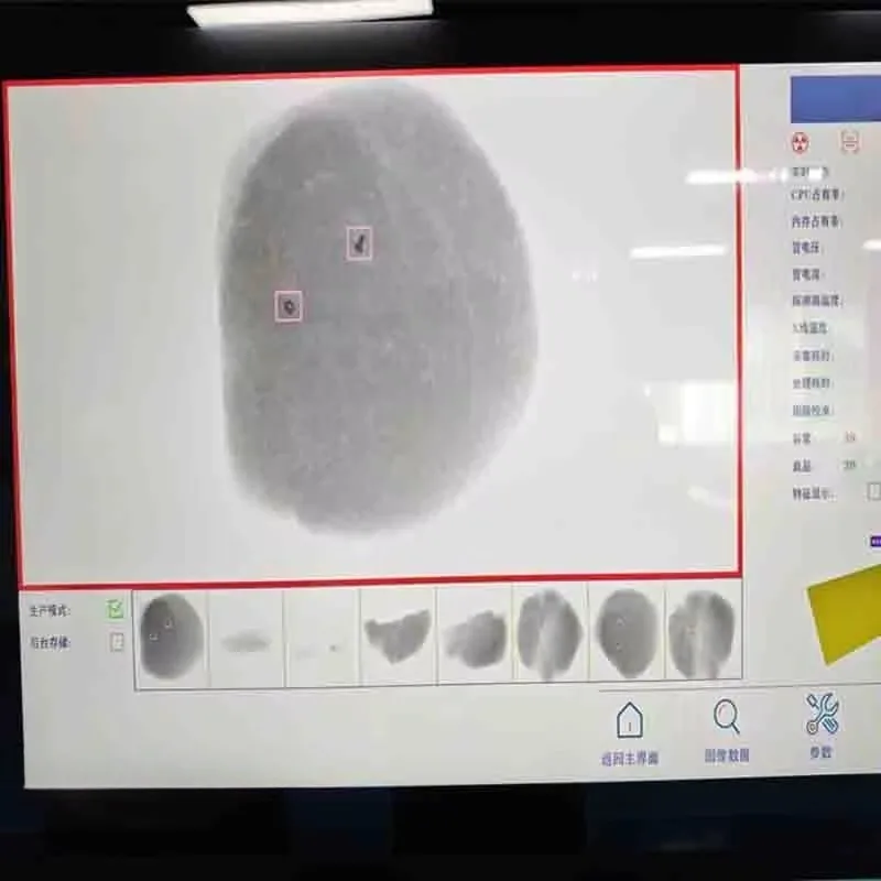High Performance X-ray Food Inspection Machine Foreign Object Detection System Industrial Quality Control Equipment