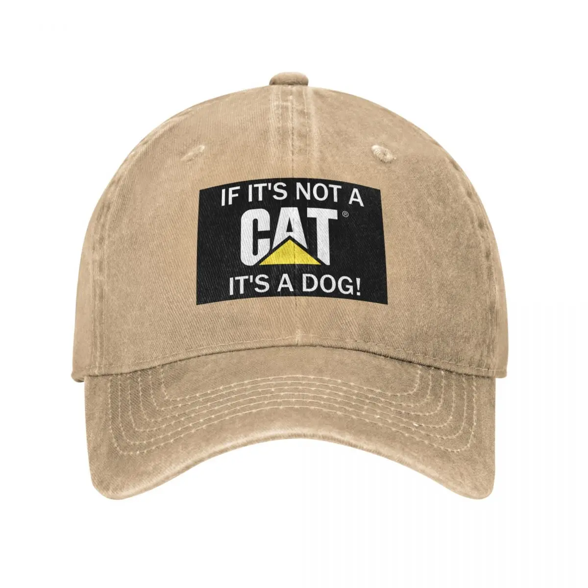 If its not a CAT its a DOG Baseball Cap Hood Custom Cap Golf Hat Snap Back Hat For Women Men's