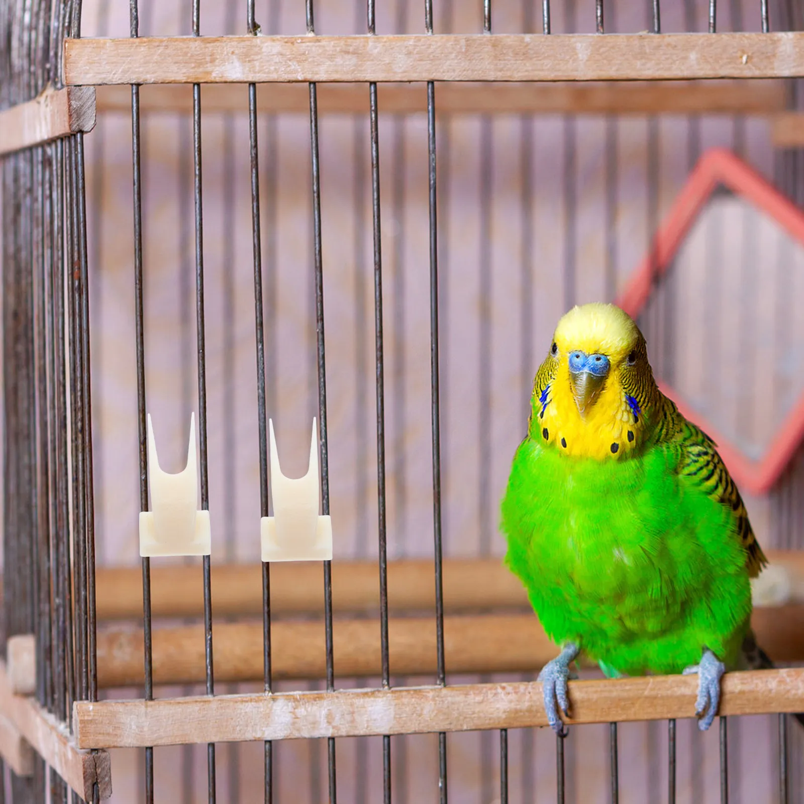 

50 шт. держателей для корма для попугаев, прочные пластиковые шампуры для фруктов, крепящиеся к клеткам для птиц, кормушки для здорового питания, не требующие особого ухода, для птичьих клеток