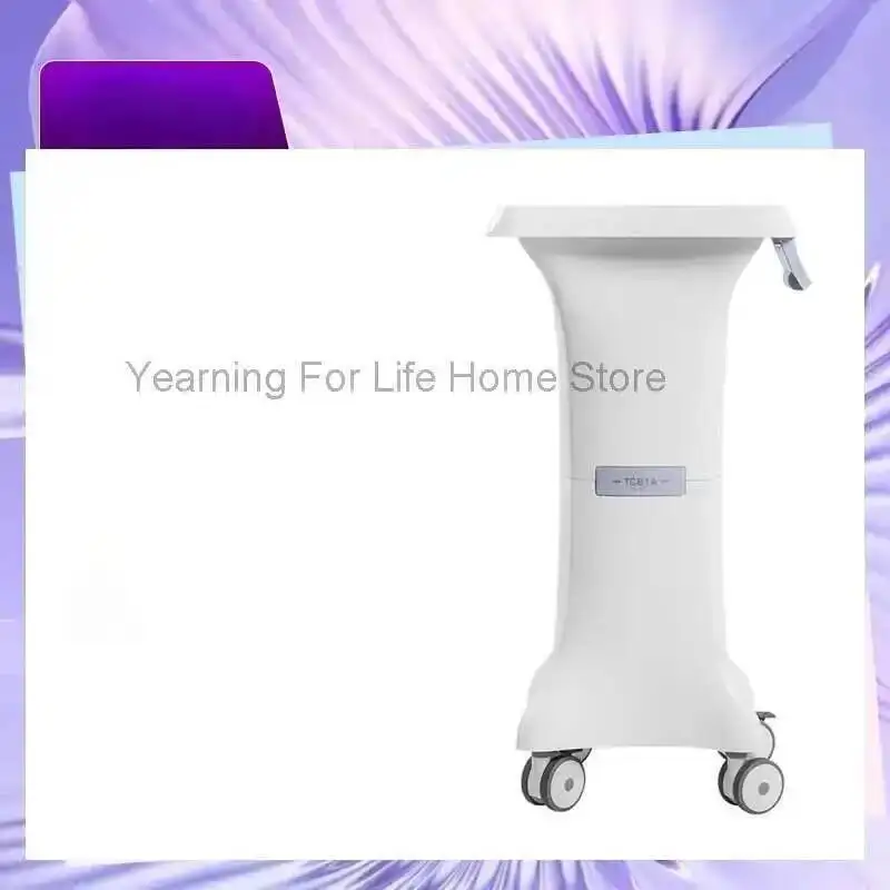 

Beauty Instrument Modern Trolley Cart Nordic Simple Designers Dental Tool Salon Trolley Storage Salon Furniture Kosmetik FYST