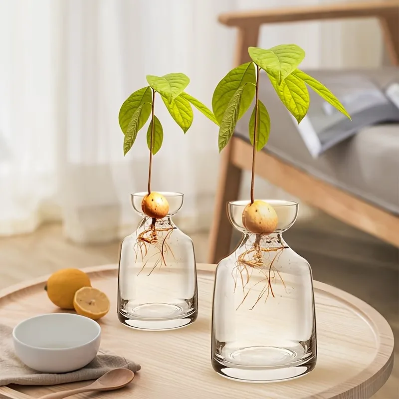 Two-piece Avocado Seed Starter Vase - Grow Your Own Avocado Tree Unique Glass Planting Pot for Gardening Lovers Start Your Green