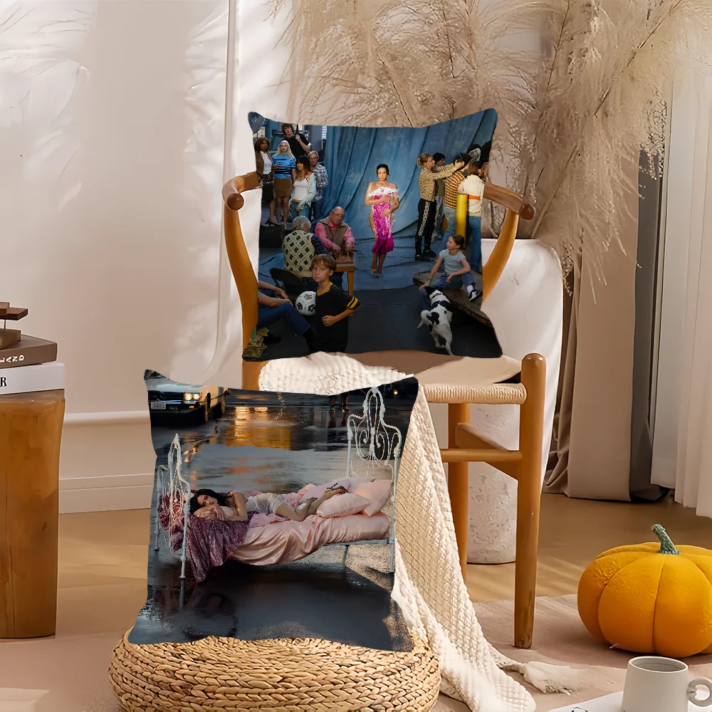 

Singer Demi Lovato It's Not That Deep Pillow Case Home Decoration Cushion Cover Suitable For Bedroom Car Office Sofa