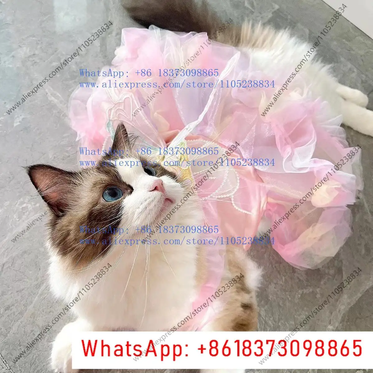 Gradual change of color tulle dog ballet skirt cute princess fluffy pet skirt suitable for small dog and cat parties