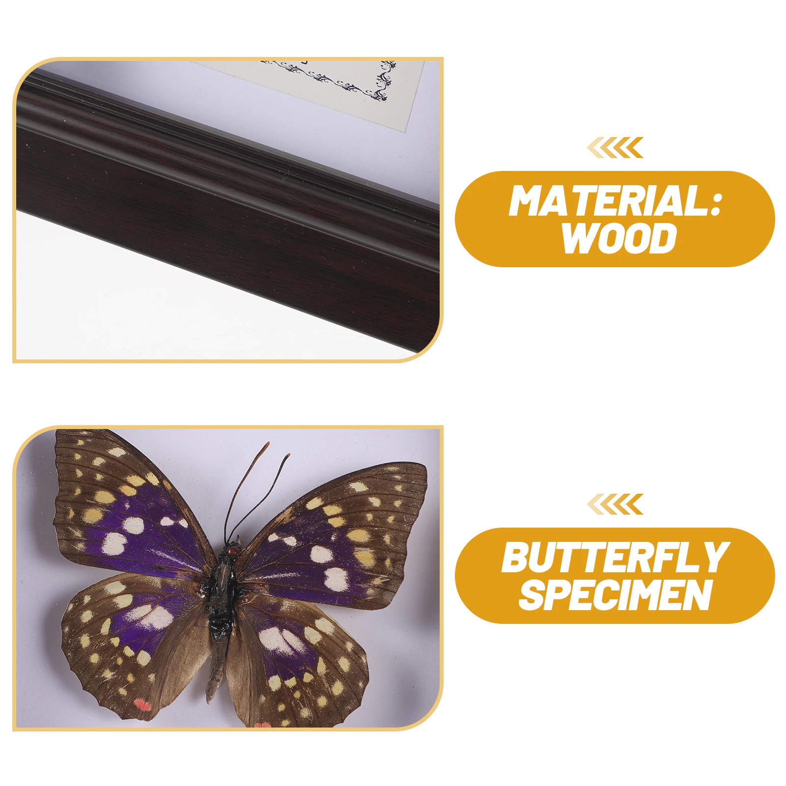 

Simulated Butterfly Specimen Photo Frame Decoration for Collector Decorate Display Holder Wooden Handmade Office Leaf