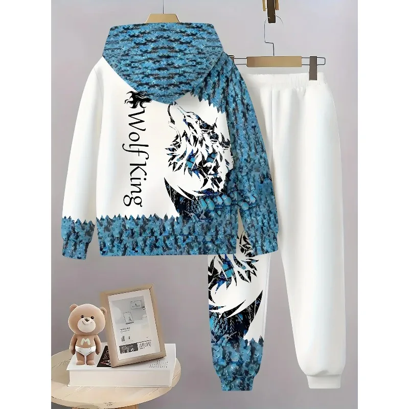 Рисунок 3 - 2025 комплект толстовки с капюшоном