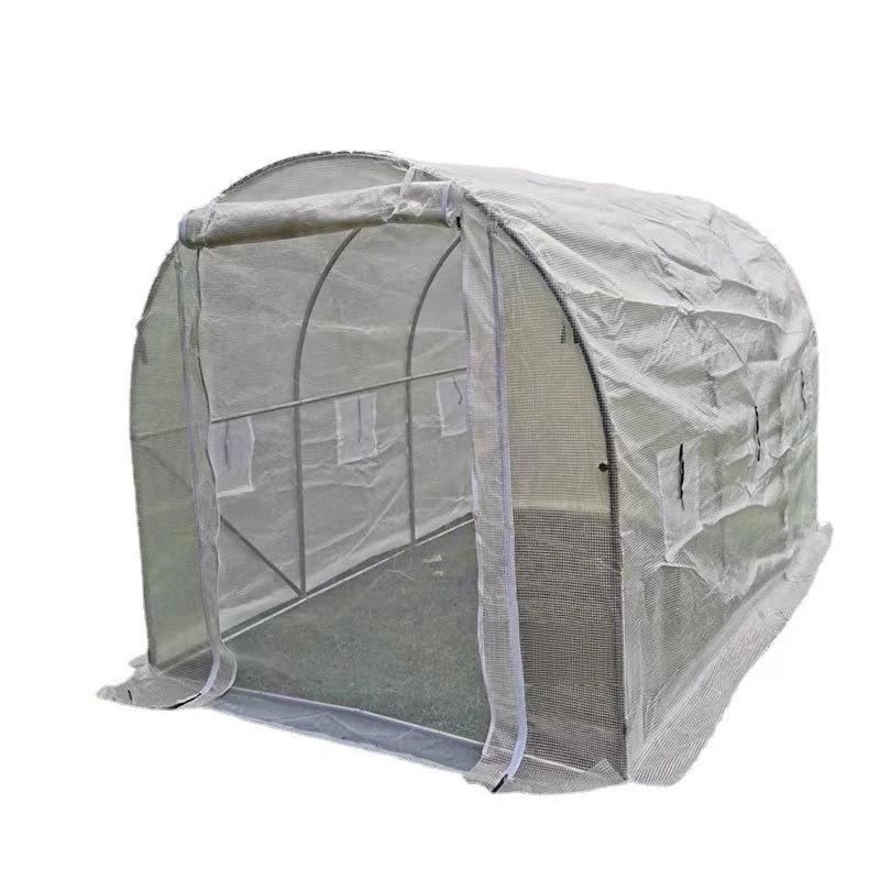 Tunnel House Plant Shed Manufacturer Supply Vegetable Greenhouse Planting Sunlight Wholesale Agriculture Fast Delivery