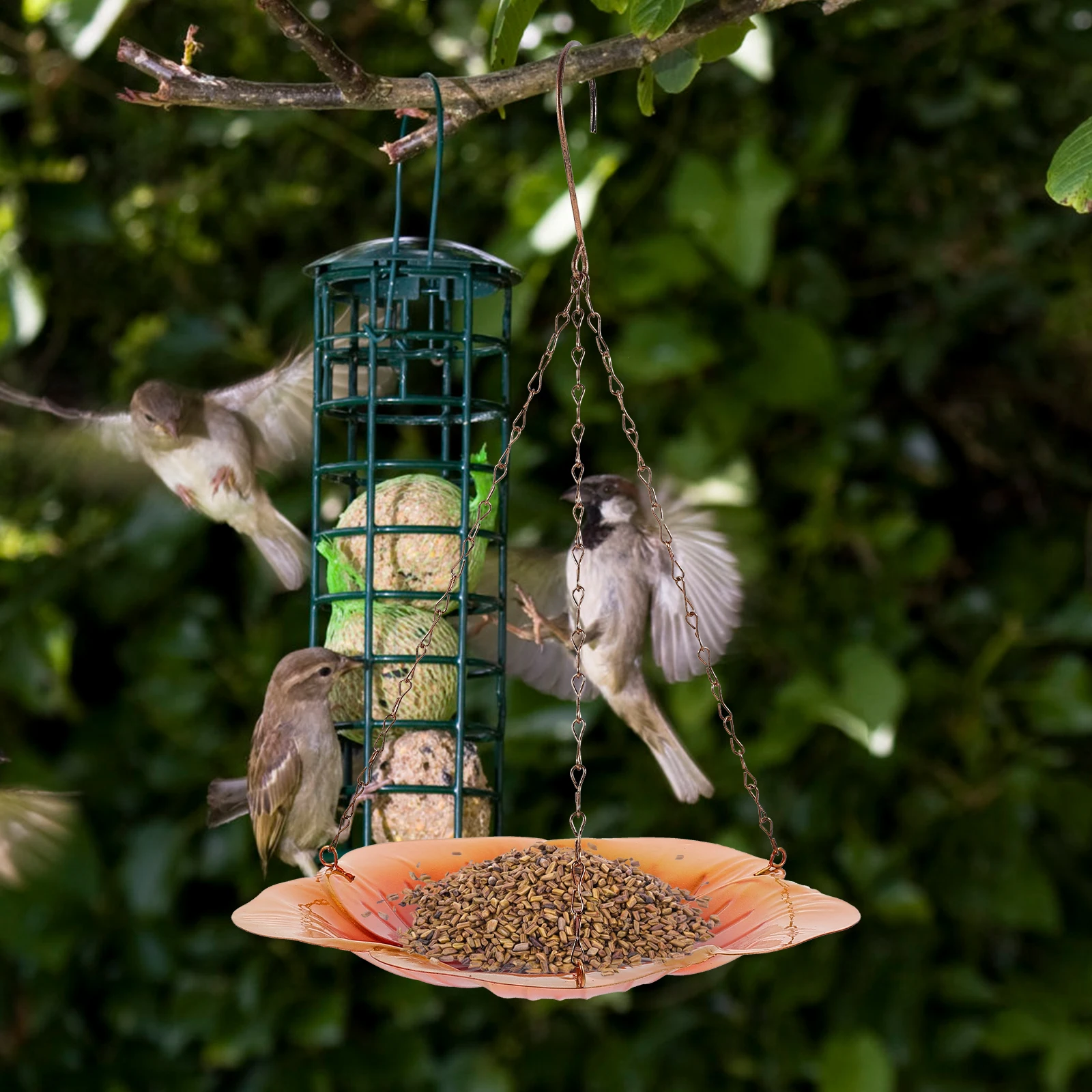 

Outdoor Hanging Bird Feeder Iron Material Durable Design Easy to Fill and Clean for Porch Garden Hanging Bird Feeder