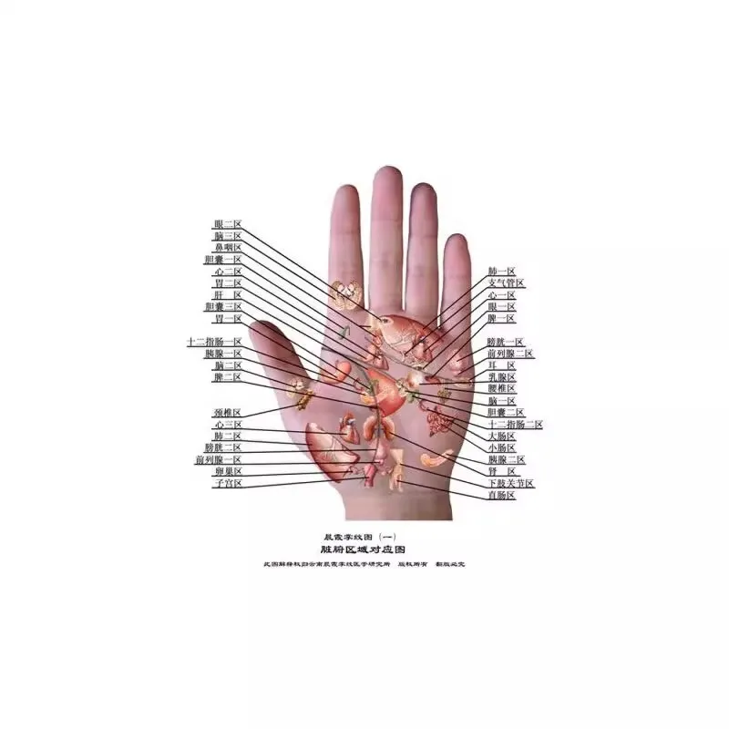 Palmistry Health Book: Illustrated Guide to TCM Diagnosis with Hand Lines Charts, Self-Care for Everyone