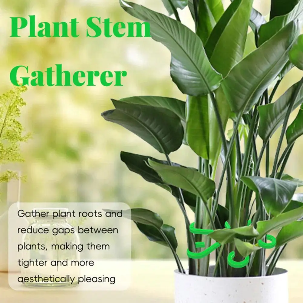 Plant Stem Support Alocasia Monstera Leaf Support Vine Support Clips For Climbing Plants To Grow Upright And Make Healthier R2E6