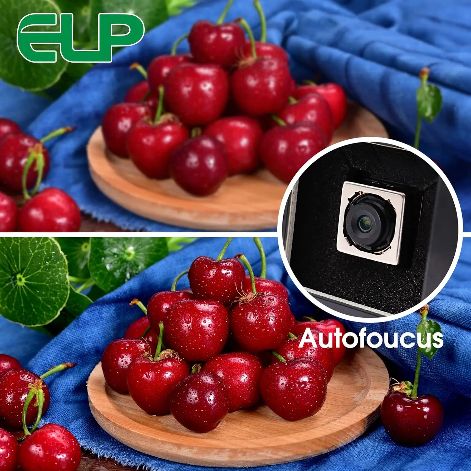 SVPRO 5MP Camera USB Autofocus Night Vision Webcam with White LEDs 60Degree UVC Mini USB Camera for Industrial Machine Vision