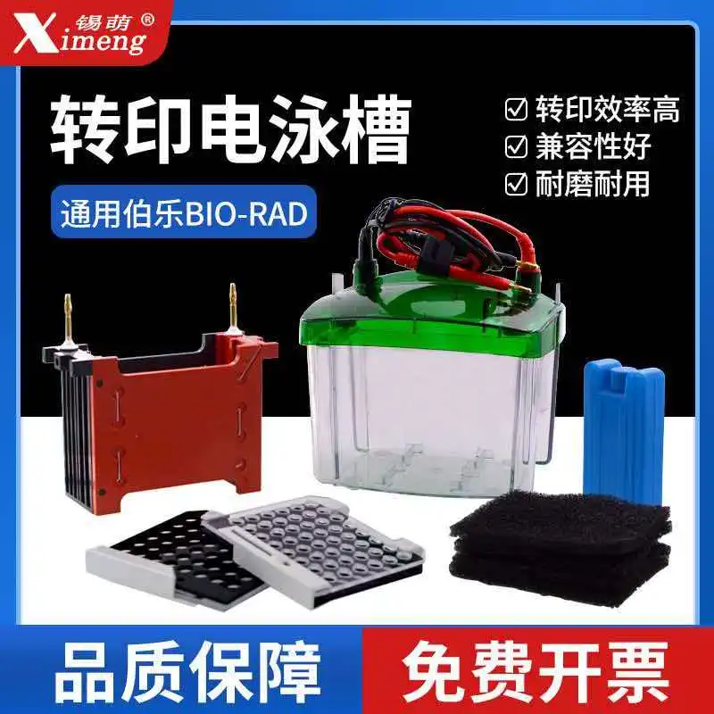 WB Small Transfer Electrophoresis Tank (Wet Transfer) Protein Transfer Tank Transfer Electrode Core Top Cover Bottom Tank Ice Bo
