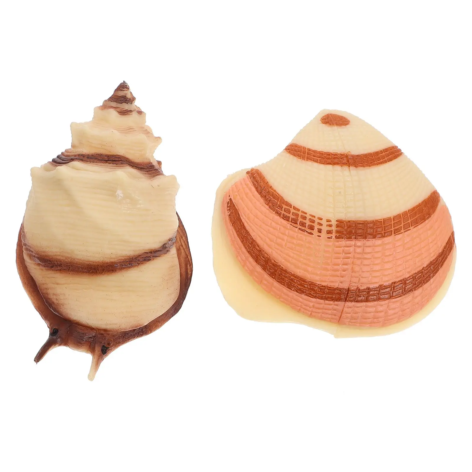 

2 Pcs Shell Model nament Simulation Conch Marine Creature Ocean Mini Seashells Plastic Vivid Marine Life Figure Educational Toy