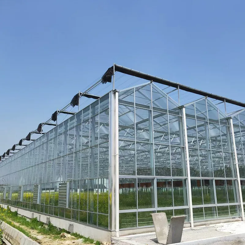 

2025 Glass greenhouse with temperature control for sightseeing and cultivation of hot-dip galvanized greenhouse pipes