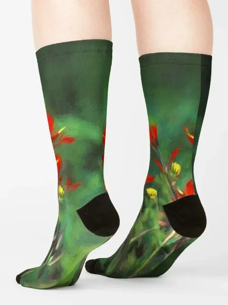 Indian Paintbrush Socks christmas gift Run christmass gift Stockings Mens Socks Women's