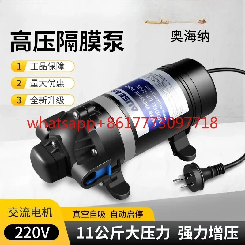 DP160S high pressure atomizing pump 220V electric self-priming diaphragm / small sprayer drug / floor heating cleaning pump