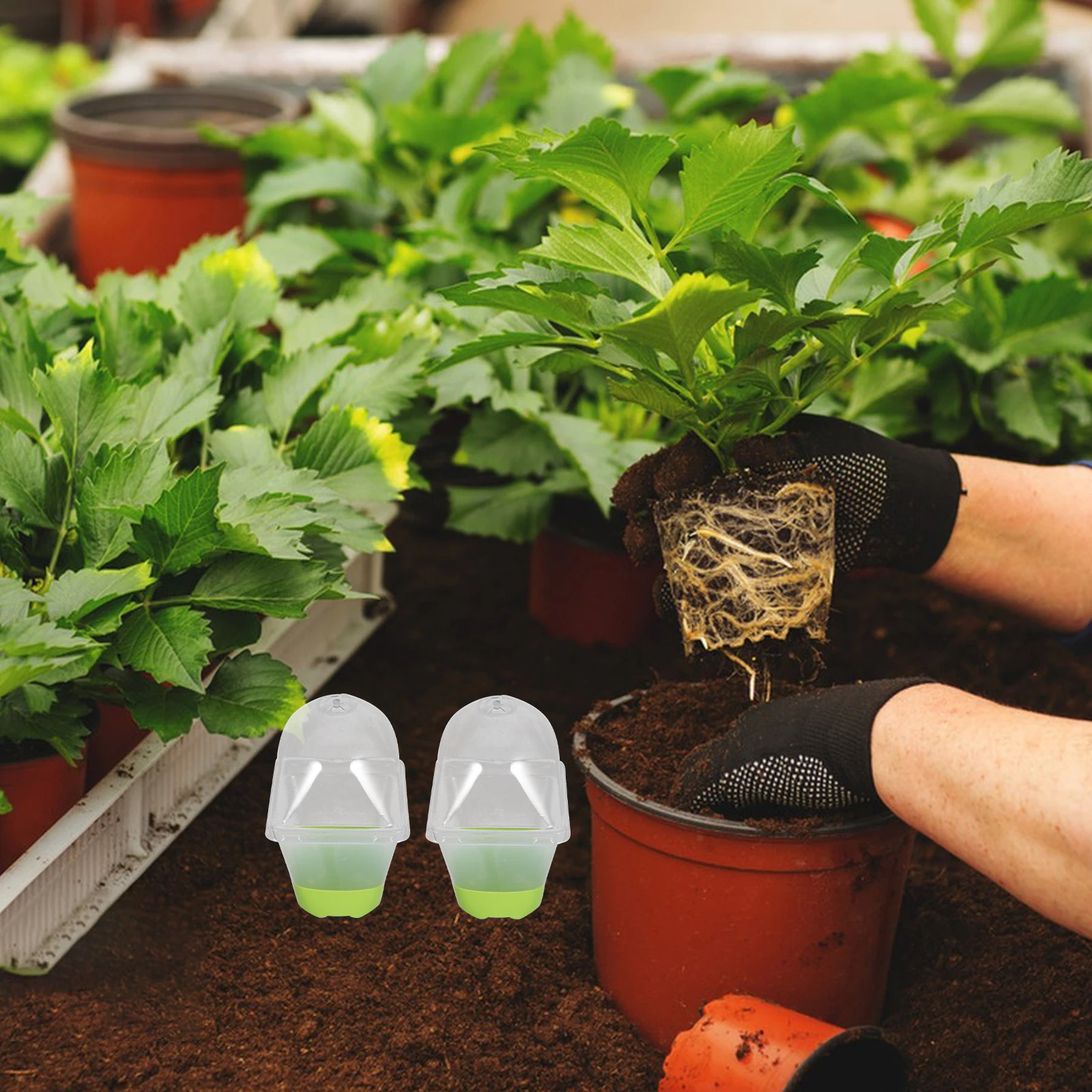 

6 шт. прозрачные детские горшки, горшки для рассады, купол для влажности, регулируемые вентиляционные отверстия, легко пересадка, дренажные отверстия, купол для рассады