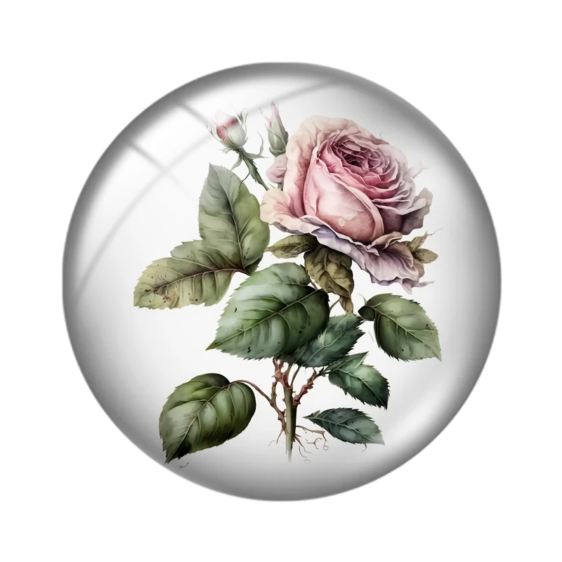 Watercolor roses mix 12mm/18mm/20mm/25mm Round photo glass cabochon demo flat back Making findings