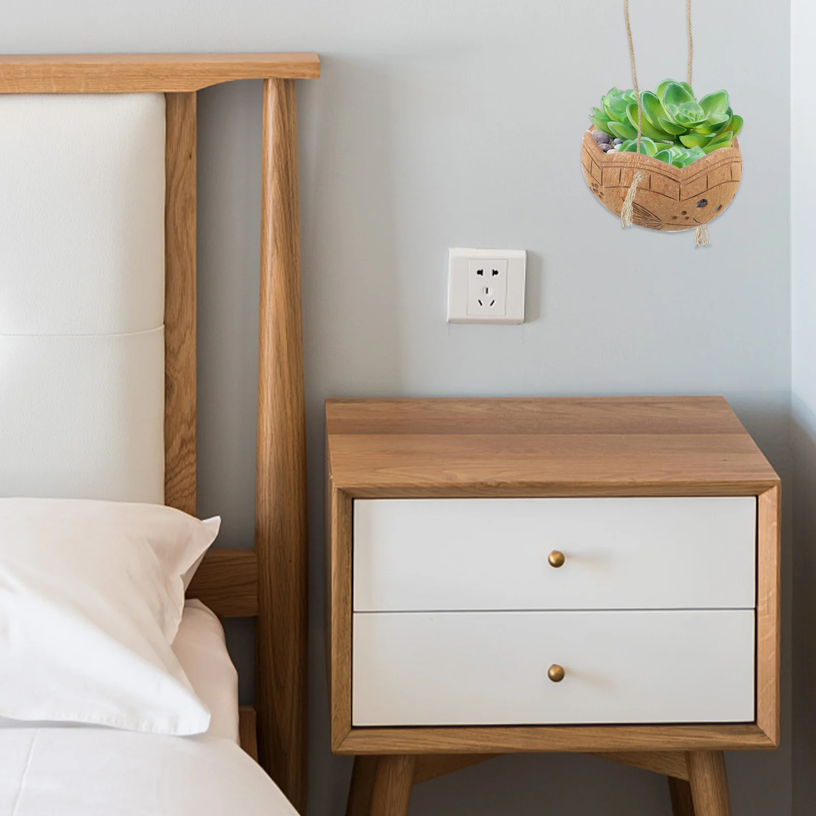 

Coconut Shell Hanging Plant Pot Succulent Planter Creative Bonsai Flowerpot Perfect for Home Office Garden Decoration