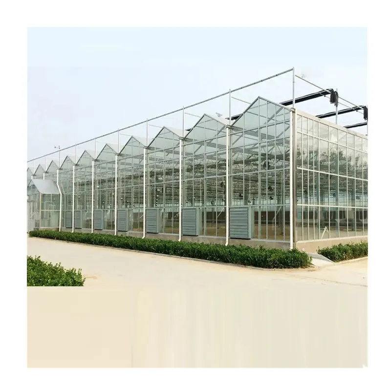 

2025Glass greenhouse frame wholesale - Grape planting flower shading connected multi-story greenhouse shed