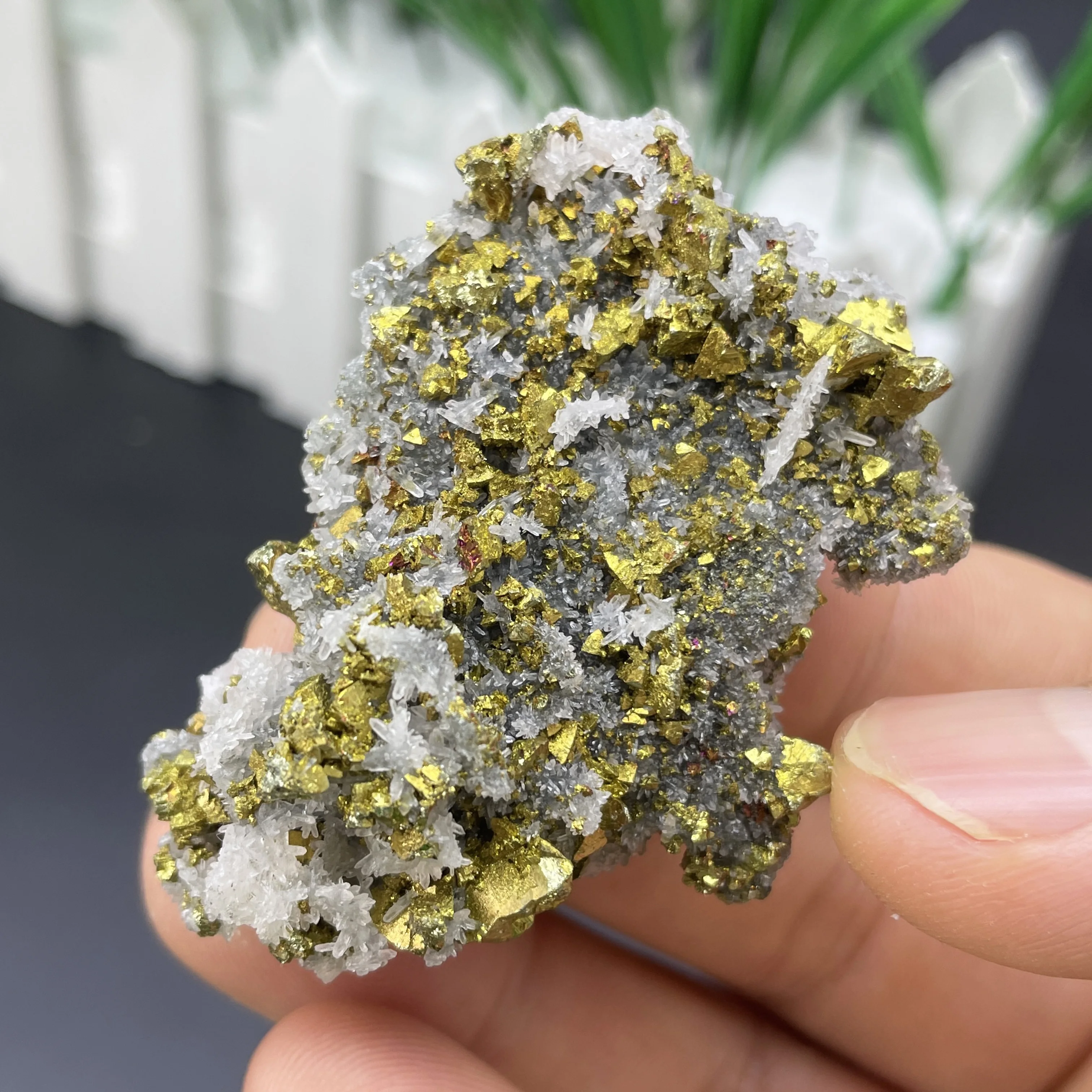 Natural Chalcopyrite With Crystal Quartz Symbiotic Specimen Mineral Cluster Healing Stone Home Decor