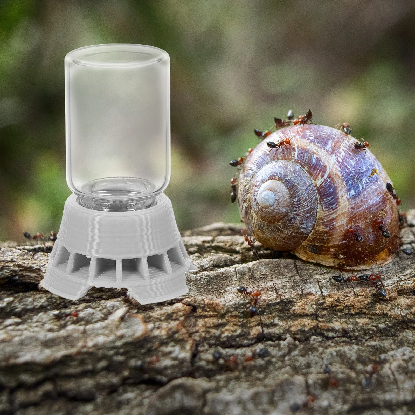 

Ant Watering Supplies Durable Reusable Ant Water Feeder Small Size Convenient for Any Environment Professional Design for Ants
