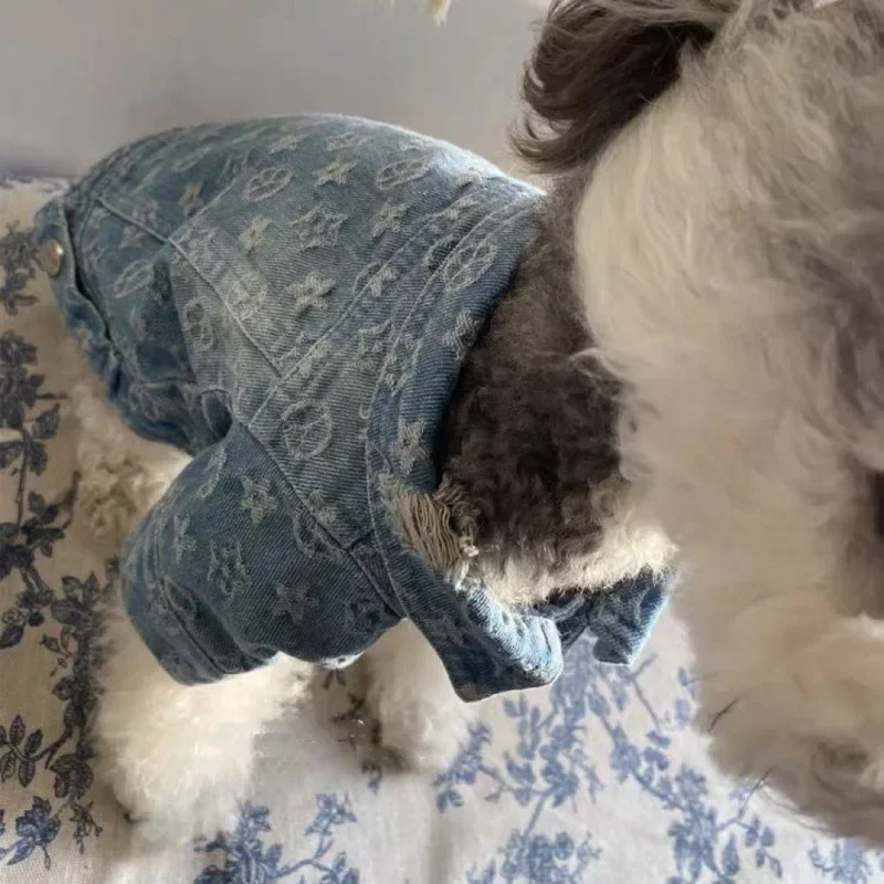 Abrigo de camisa de vaquero con patrón impreso completo, forro de mezclilla de algodón, mascota, otoño, invierno, Schnauzer, gatito, perro, perro de