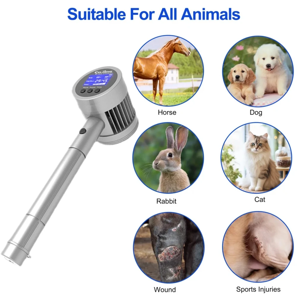 

1295mW Red Light Device 650nm+808nm - Cold Laser for Joint Pain, Wound Healing, Muscle Recovery (Humans & Pets)
