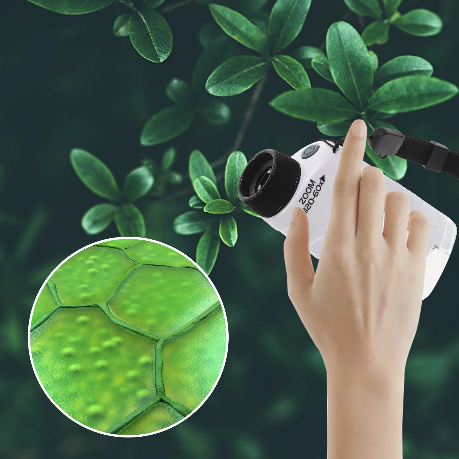 Microscópio monocular durável abs educacional observador biológico portátil escola laboratório ciência lupa para crianças