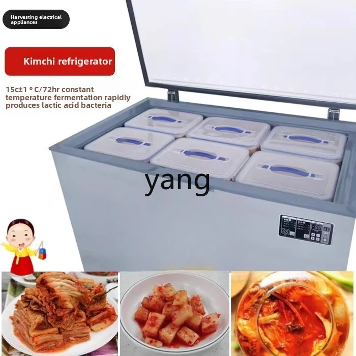 CX 冷蔵および冷凍小型家庭用および商業用横型スマート冷凍庫、浸漬野菜ボックス付き