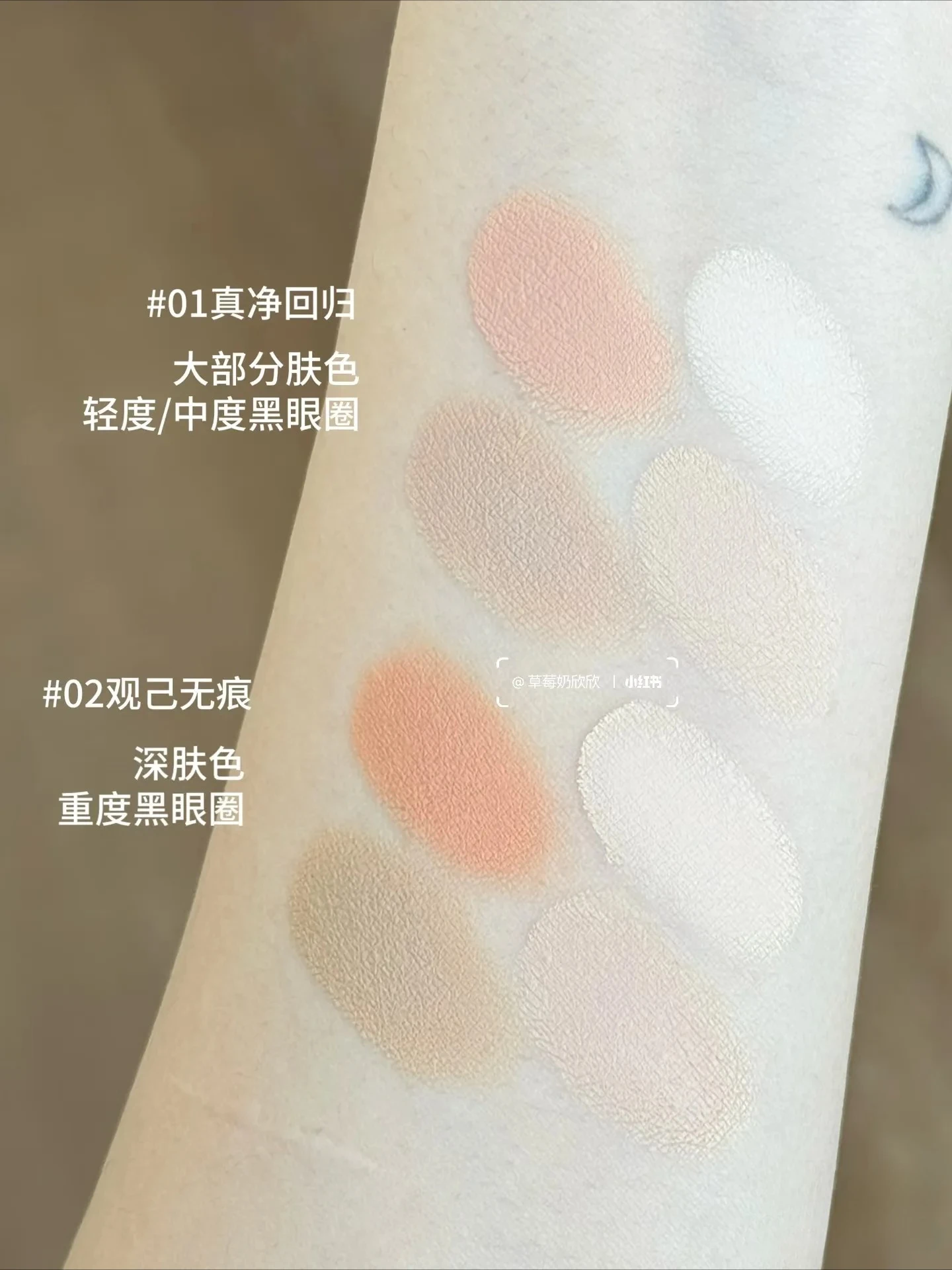 INSBAHA 5 Color Concealer Brightening Acne Mark Dark Eye Circles Tears Furrow Permanent Facial Concealer Setting Powder Plate