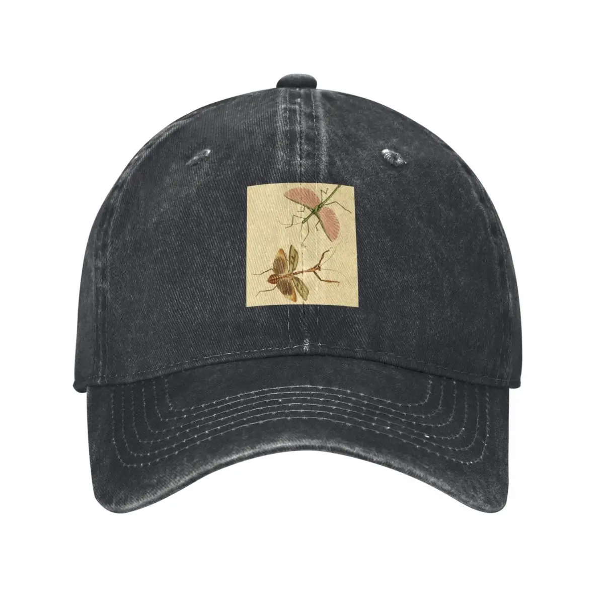 Naturalist Stick Insects Baseball Cap birthday Golf Hat Man Sunhat Snapback Cap Caps Male Women's