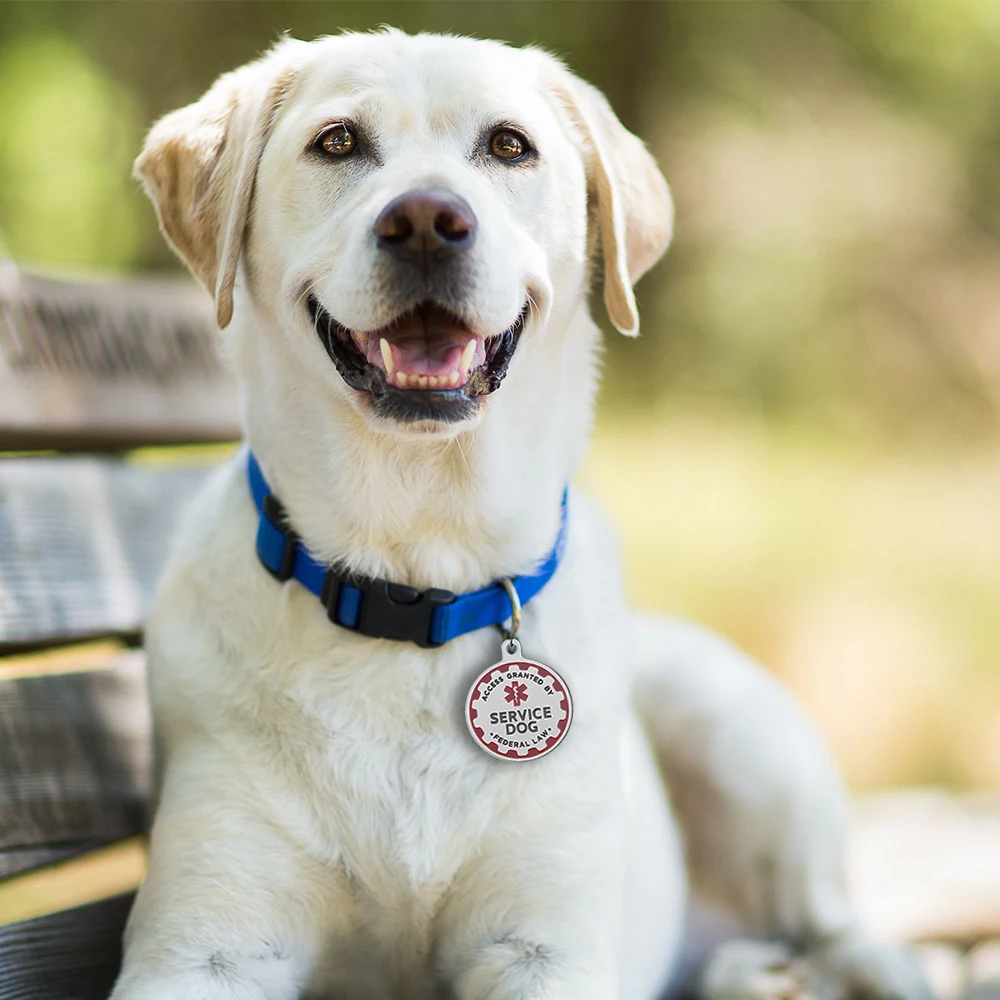 Service Dog Tag Red Medical Alert Symbol Pendent Metal Pet Collar ESA Tags for Large Small Dogs Collar Decoration Accessories