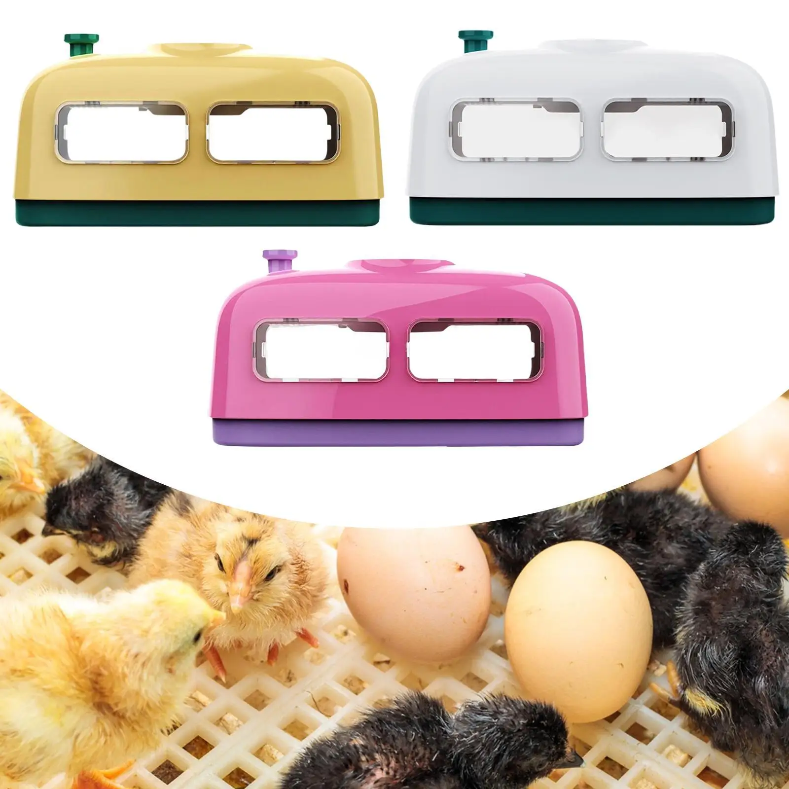 

Egg Incubator Sturdy Lightweight Manual Egg Turning for Pigeon Goose