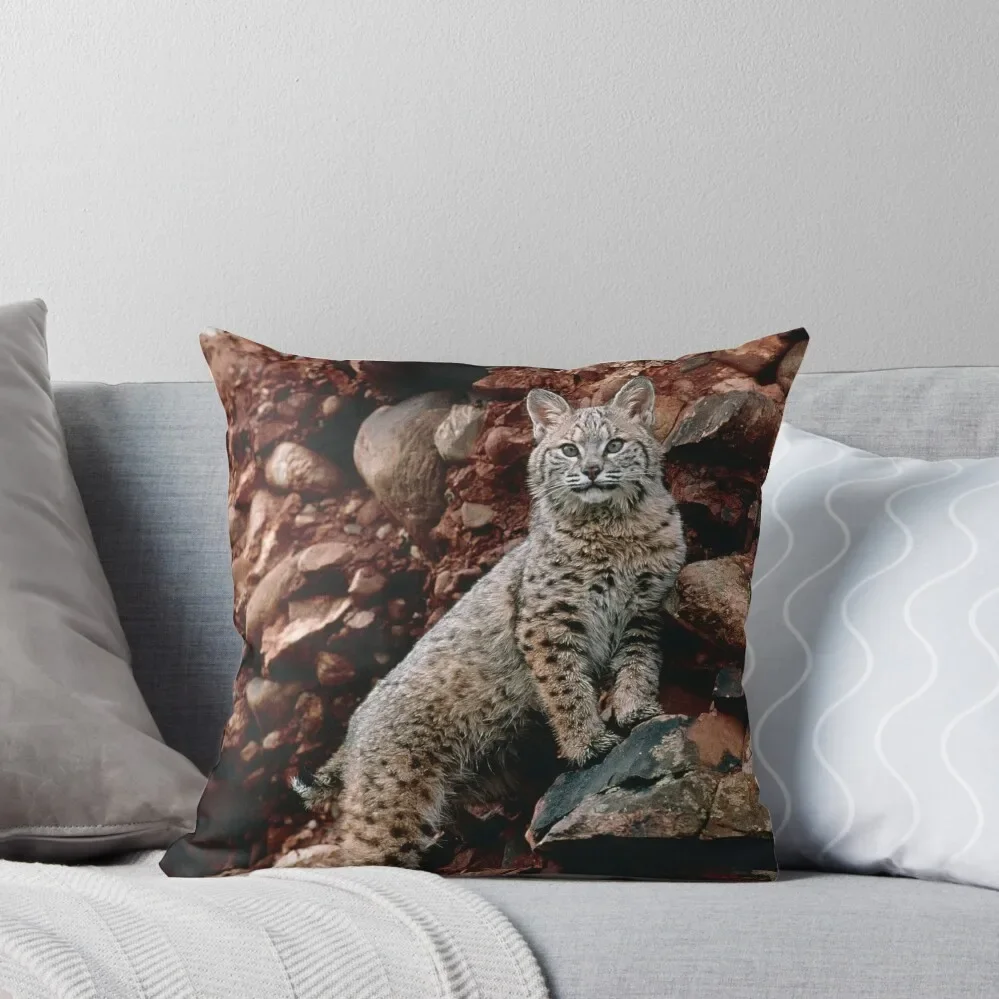 

Bobcat (Z934/0011) Throw Pillow New year Sitting Cushion pillow